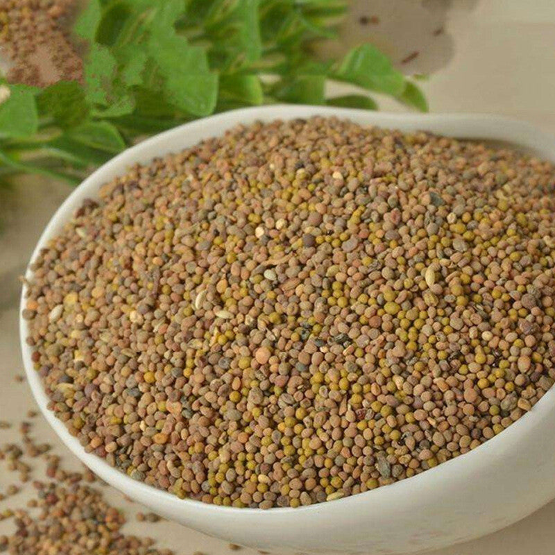Cuscuta Chinensis Powder Freshly Ground Powder Tu Si Zi Dodder Powder