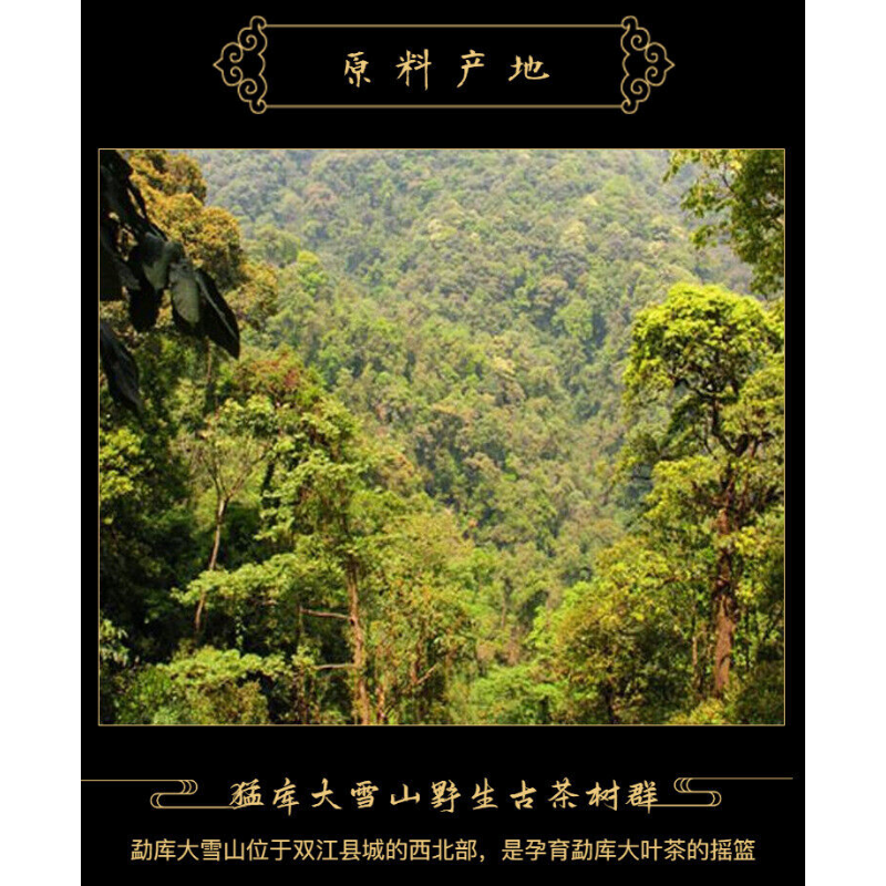 Green Cake Puer 400g MengKu Hao Rongshi Mengku Qizi Tea Biscuit