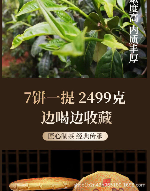 HelloYoung Icelandic Water Gold Tea 357g Yunnan Pu-erh Seven Seed Large Leaf Gold Cake Tea