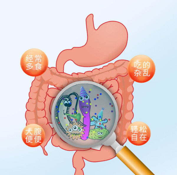 HelloYoung Freeze-dried Powder Children’s Intestinal Viable Solid Beverage Probiotics 40g