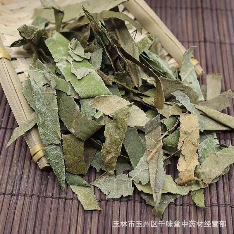 Fresh Oquat Leaf Chinese Herbal Guangxi Wild Loquat Leaf Dried Loquat Leaf Tea