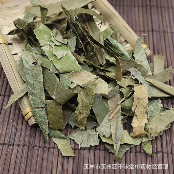 Fresh Oquat Leaf Chinese Herbal Guangxi Wild Loquat Leaf Dried Loquat Leaf Tea