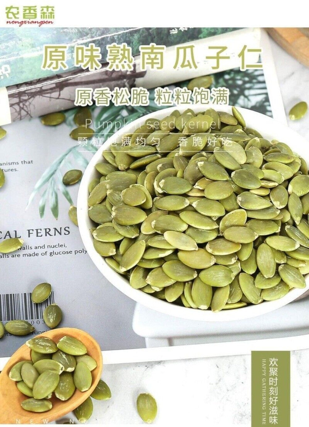 Large Pumpkin Seed Kernels 500g Original Flavor Premium Canned Snack