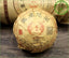 Chinese Puerh Tea Pur-erh  Cake 100g Chinese Tea Ripe Puer Puerh