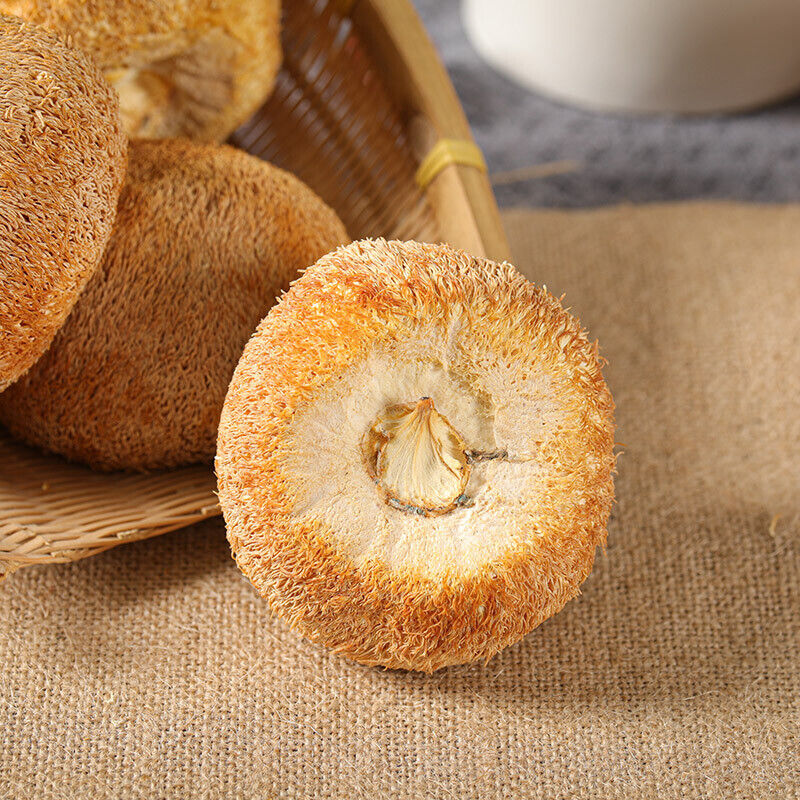 Organic Dried Hericium Erinaceus Wholesome Herbal for Cooking Health Care 2Pcs