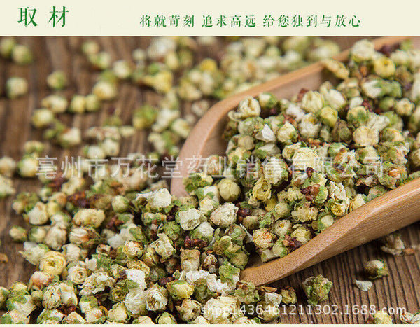 Healthy Green Plum Blossom Flower Tea Flower Bud of Japanese Apricot Herbal Tea