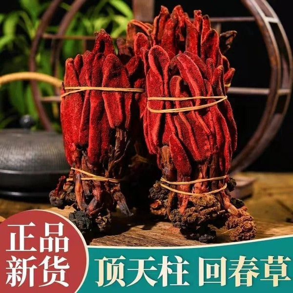 Rejuvenation Herb Tea Dingtianzhu Amaranth Cistanche and Ageless Grass for men