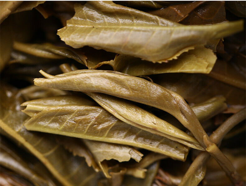500g Ancient Tree Comrade Batch 191 Puer Tea Haiwan High Mountain Puerh Tea