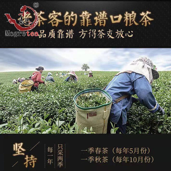 HelloYoung New Fresh Taiwanese Oolong Tea Alishan Good Quality Wu Long Cha 300g