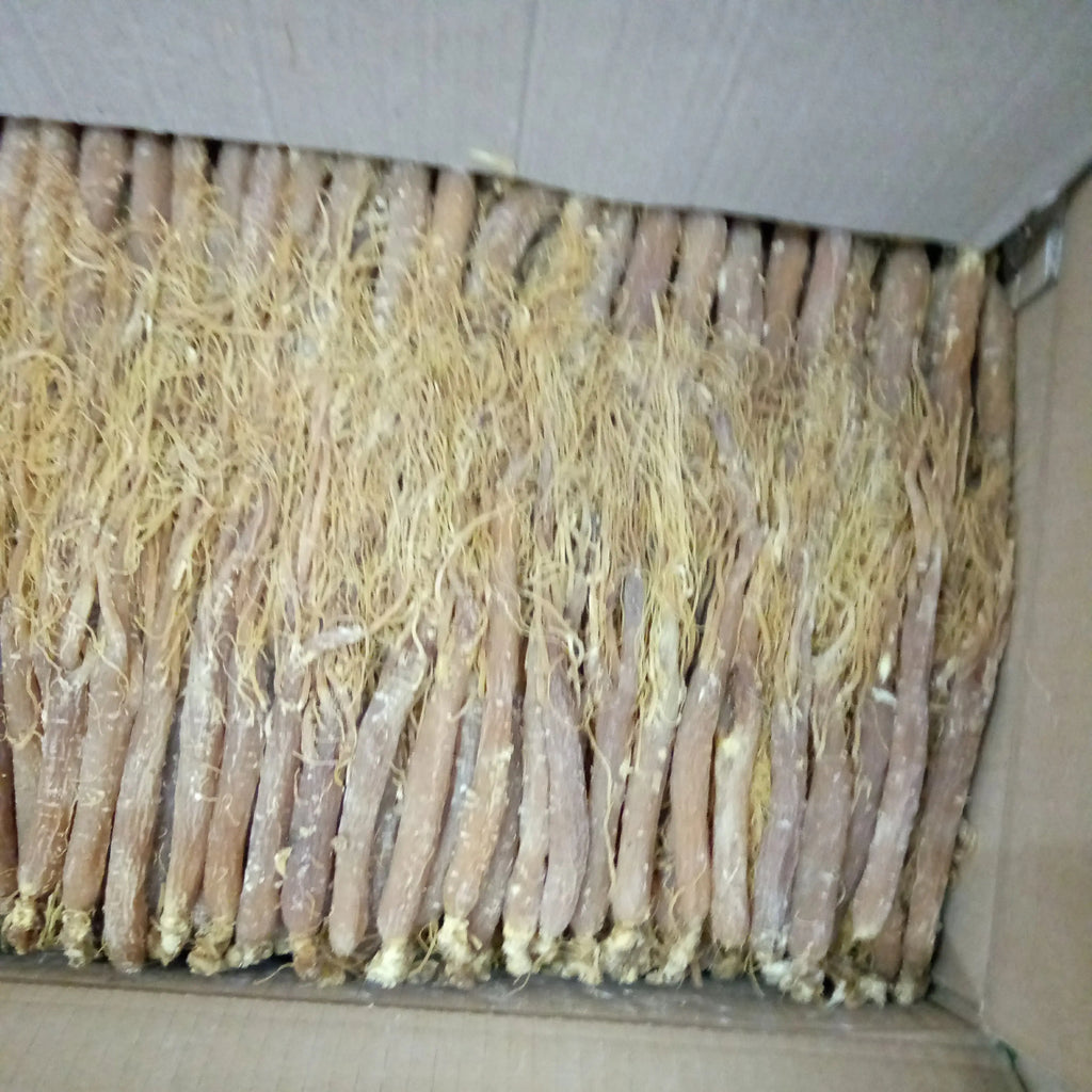 Low Sugar Red Ginseng Whole Root Changbai Mountain Ginseng 250g 10 pcs Specialty