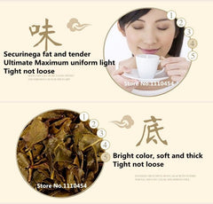 250g/8.8oz Green Tea Natural Organic Tieguanyin Tea Oolong Tea Gift Package