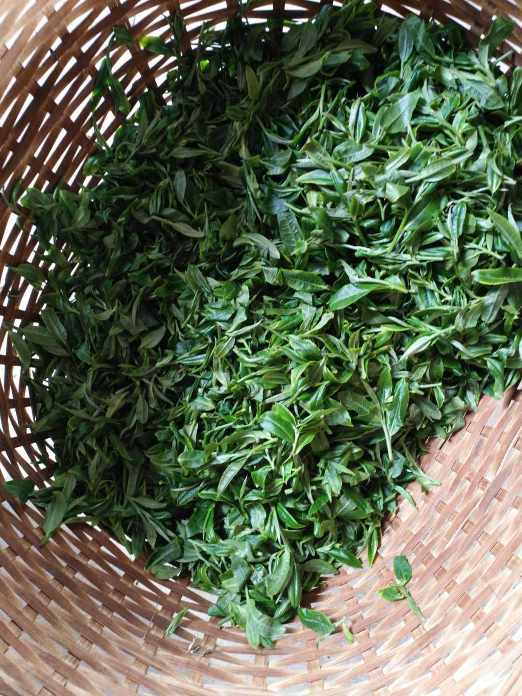 Icelandic Ancient Tree Pu'er Ripe Tea Cake 357g Yunnan Pu'er Tea