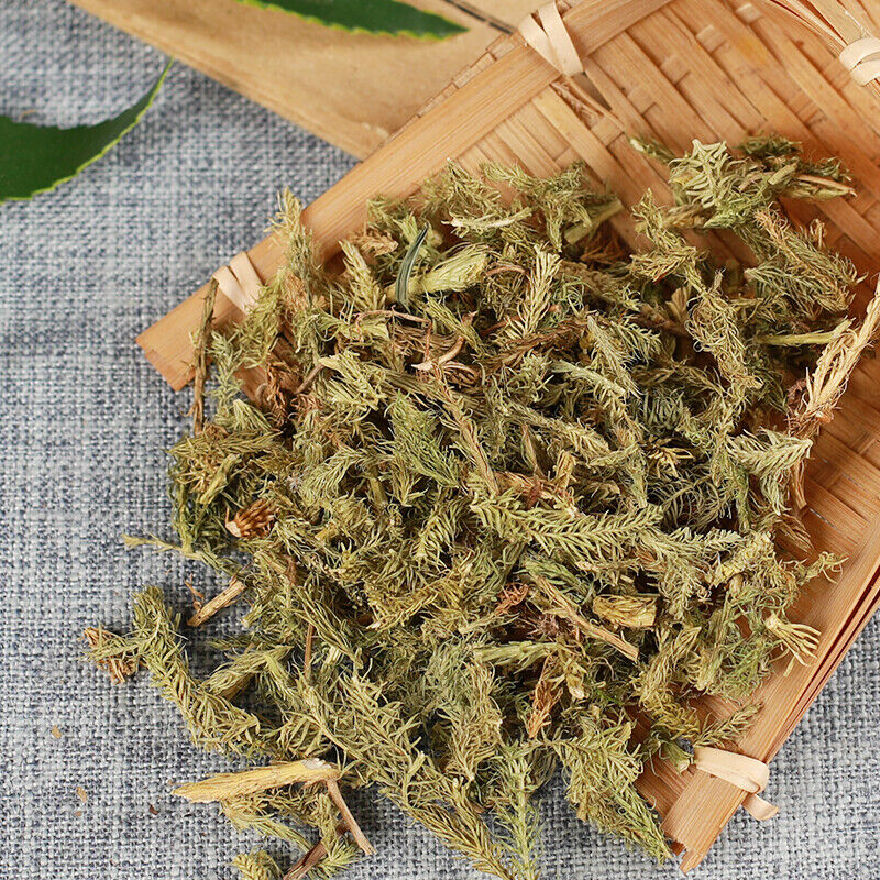 HelloYoung Shenjincao Healthy Original Herbal Tea Shujincao Healthy Drink 500g 精选伸筋草 舒筋草 Main image