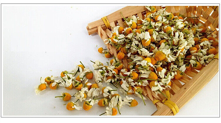 HelloYoung Bulk chamomile chamomile dried flowers chamomile petals flower foam 17.6oz