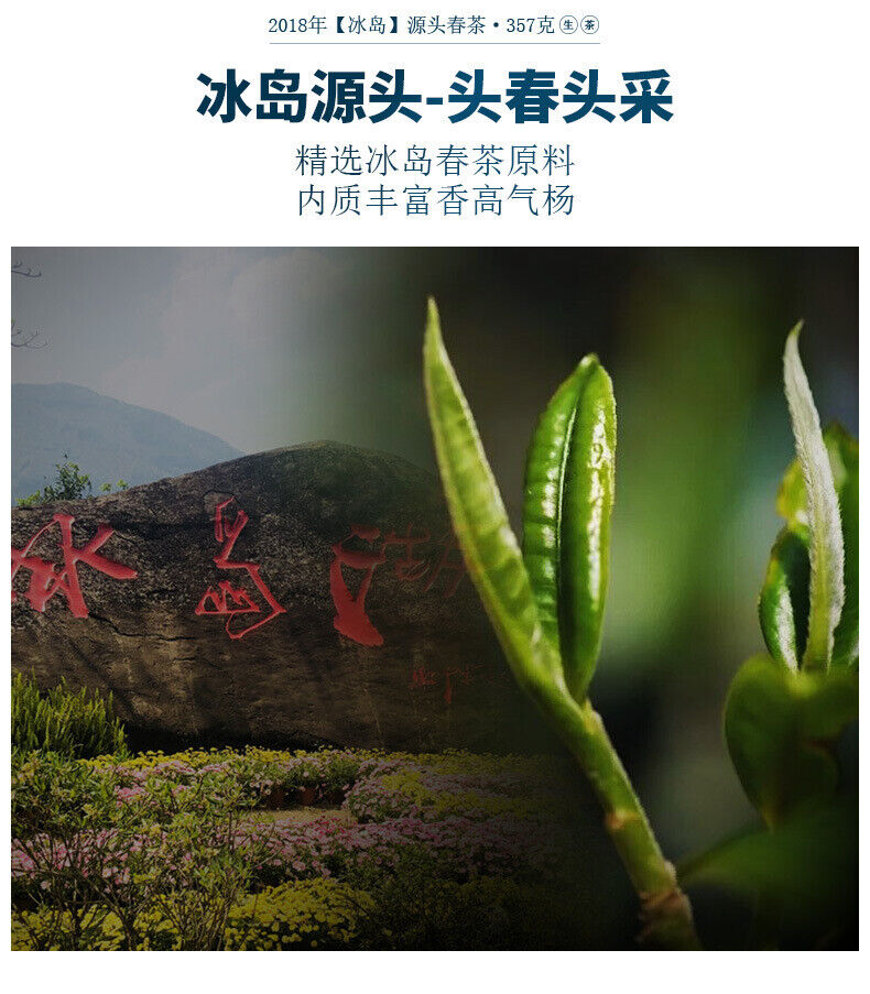 HelloYoung Natural 357g Pu'er Tea Leaf Icelandic Pu'er Raw Tea Cake Healthy Drink