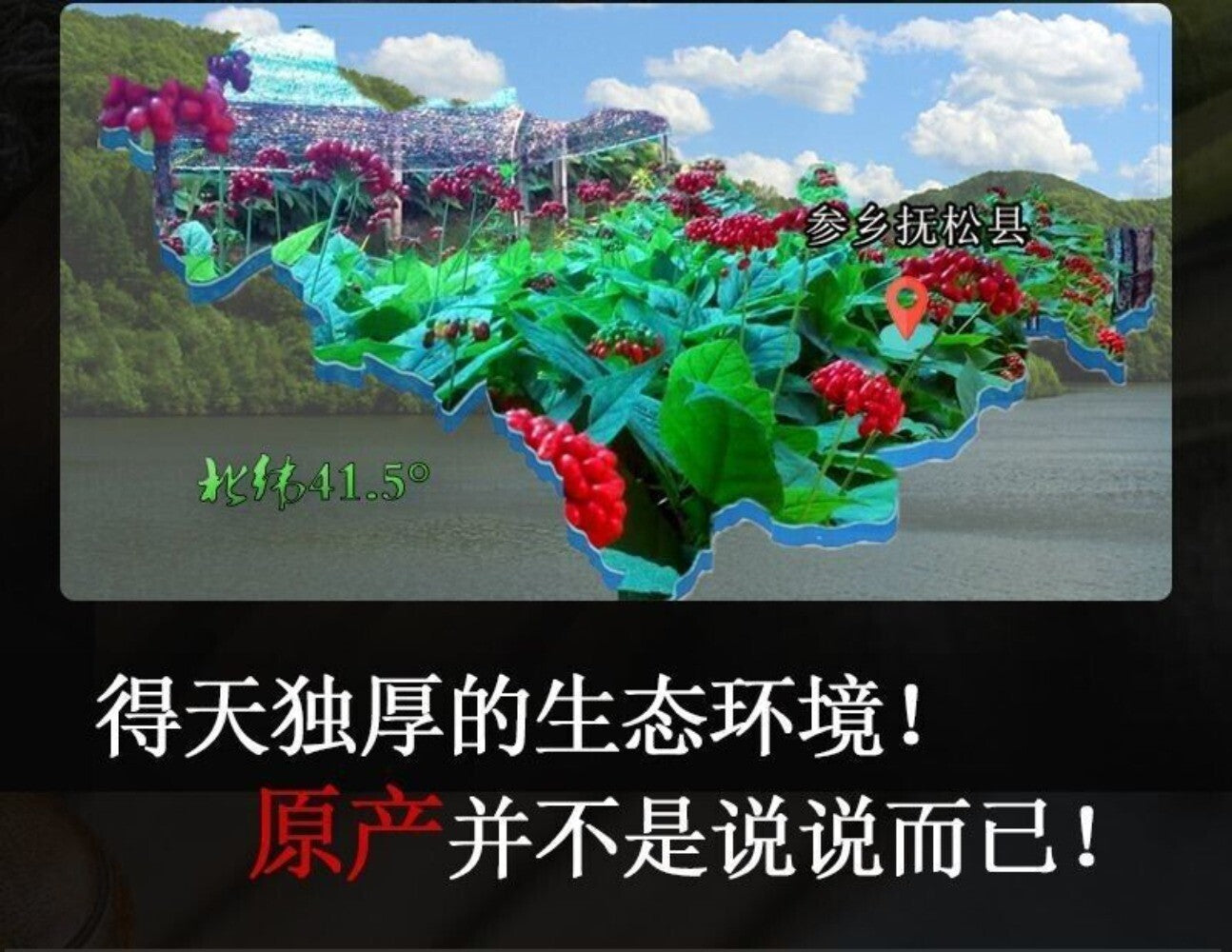 Jilin Changbai Mountain White Ginseng Powder 100% Pure Premium Natural