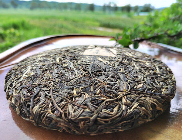 HelloYoung 357G Yiwu Pu'er Tea Raw Tea Bent Bow Ancient Tree Tea Yunnan Tea Seven Cakes