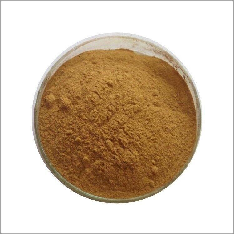 500g Organic Rosa Roxburghii Extract 10:1 Powder | Natural Health Supplement Main image