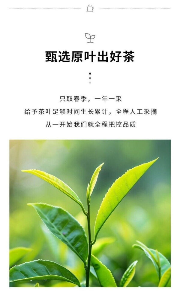Authentic Wuyi Oolong Tea Loose Leaf Daily Use High Mountain Yancha 50g