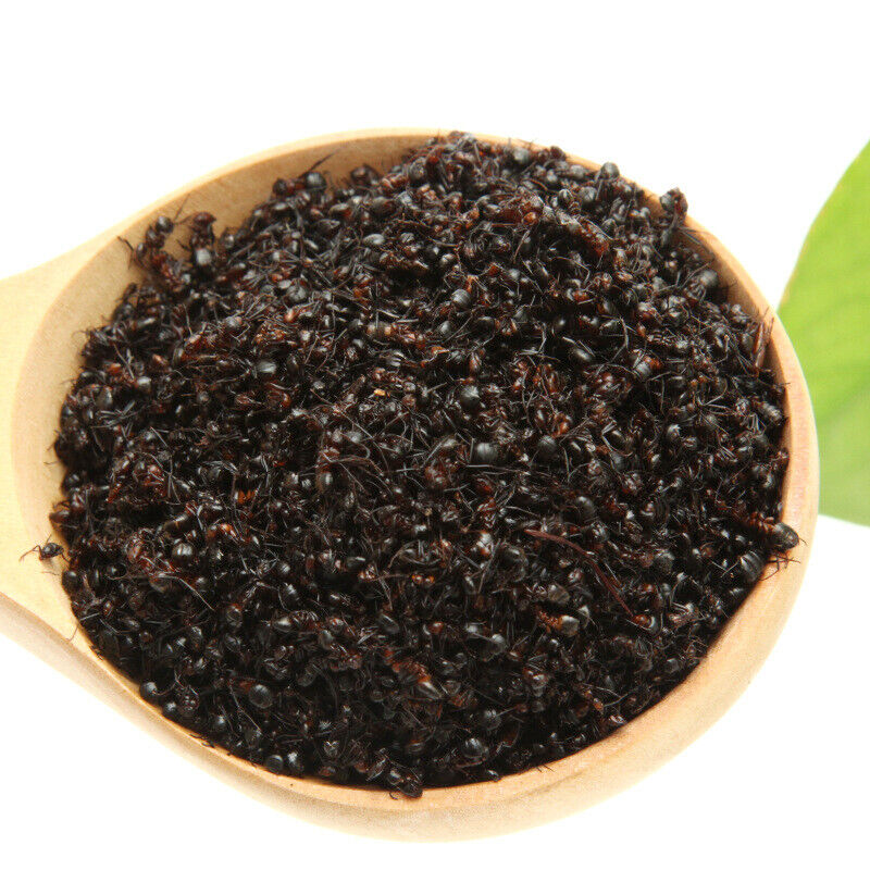 Wild Chang Bai Shan Mountain Black Ant Vic Roger Polyrhachis Premuim 500g