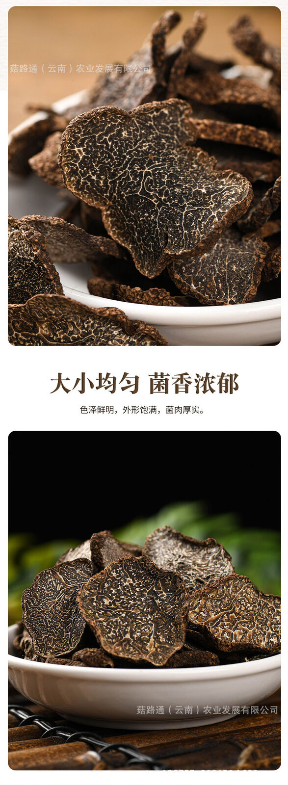 Yunnan Organic Truffle Black Tablets in Bottled Black Truffle Dry Tablets 50g