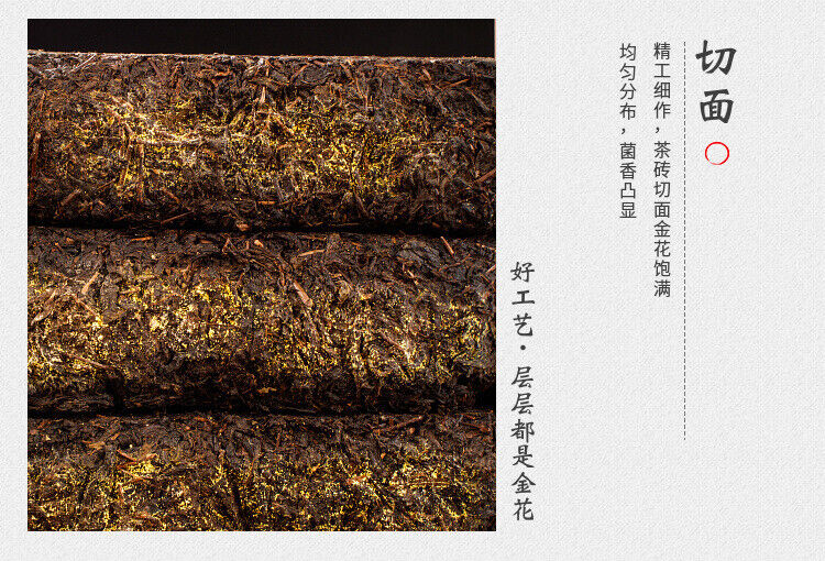 HelloYoung 1kg Anhua black tea Jinhua handmade Fu brick tea Tianjian raw material black tea
