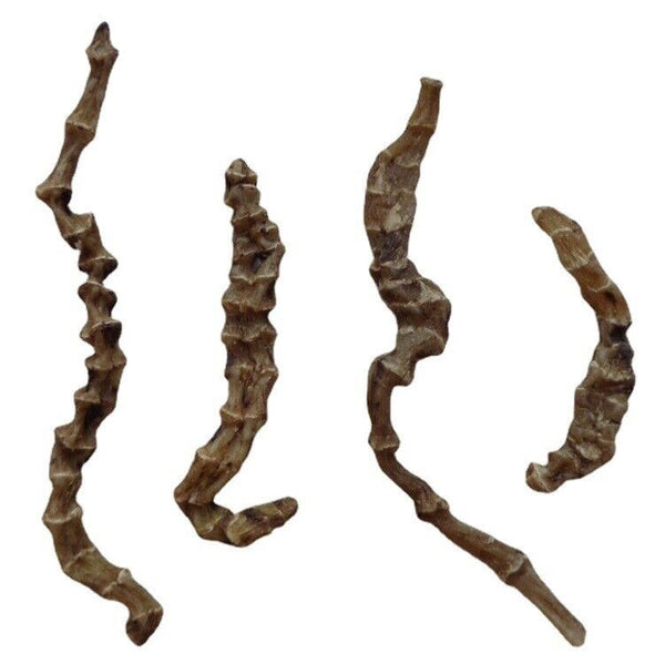 HelloYoung Herbal Medicine Ground Ginseng Cordyceps Ginseng Cordyceps Ginseng Male 500g