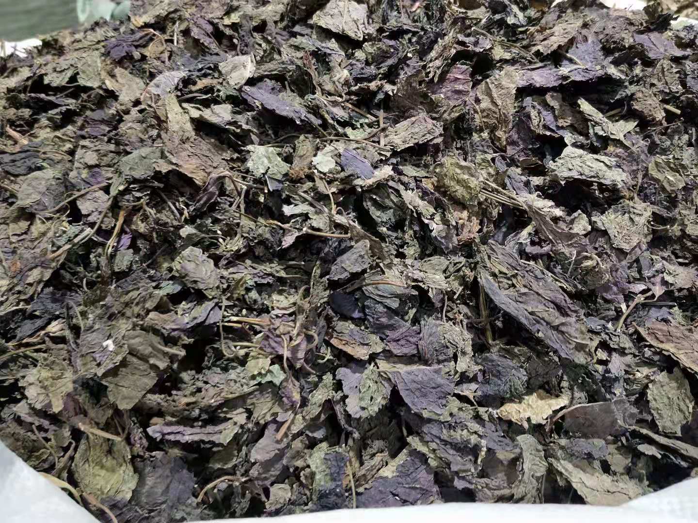 HelloYoung Perilla Leaf Herbal Medicine Perilla Leaf Perilla Leaf Perilla 500g/1.1lb