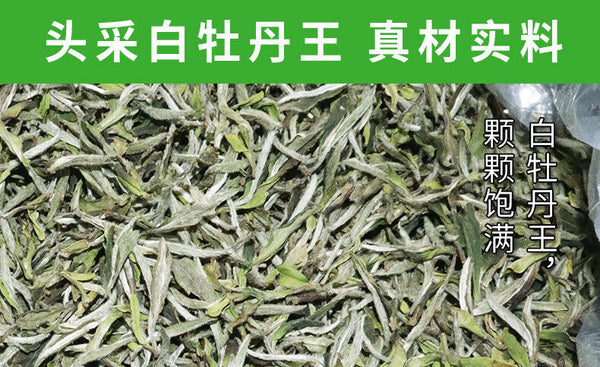 HelloYoung 500g Fuding white tea white peony king loose tea Panxi Ming Qian tea