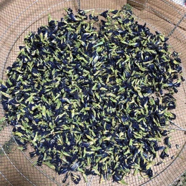 Herbal Tea Natural Food Additive Die Dou Hua Butterfly Pea Flower Tea 200g