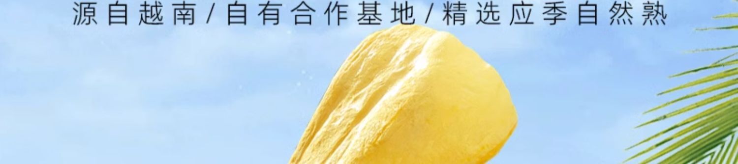 Jackfruit Dried Fruit Freeze-dried Jackfruit Casual Snacks  20G