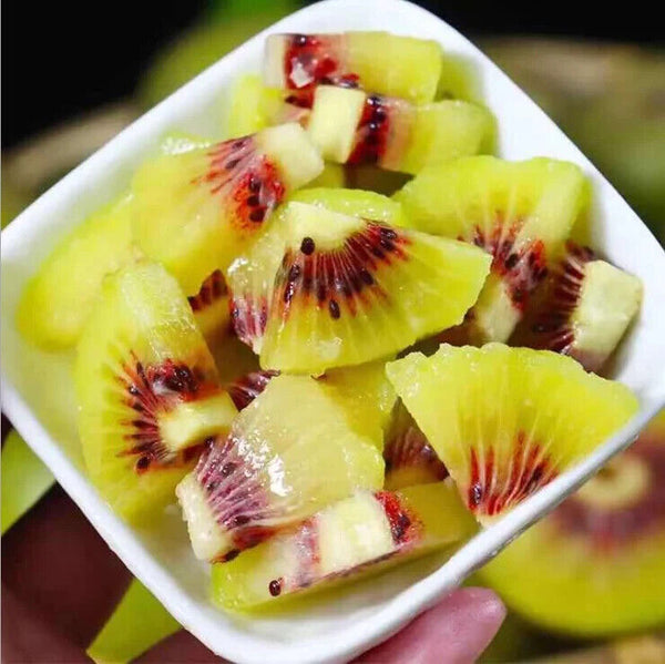 Natural Organic Dried Freeze Concentrate Kiwi Fruit Powder for beverage