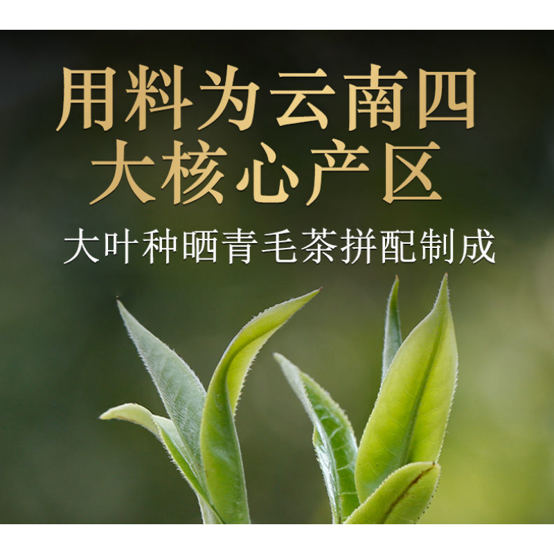 HelloYoung Xiaguan Tuo Cha Shen Pu-erhChaPu'er Tea Puer Tea100g/Box Dali Tuocha