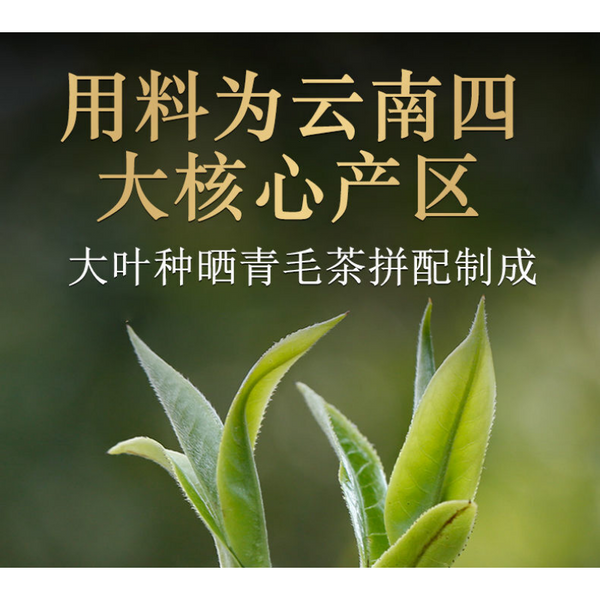 HelloYoung Xiaguan Tuo Cha Shen Pu-erhChaPu'er Tea Puer Tea100g/Box Dali Tuocha