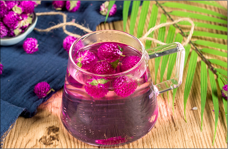 Flos Gomphrena Globosa Flower Tea Qian Ri Hong Herbal Tea Healthy Tea Drink Food