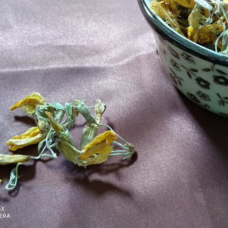 8.8oz(250g) Dried Cytisus Scoparius, Flower Tea Jin Que Hua, Broom Top, Genista Secondary image