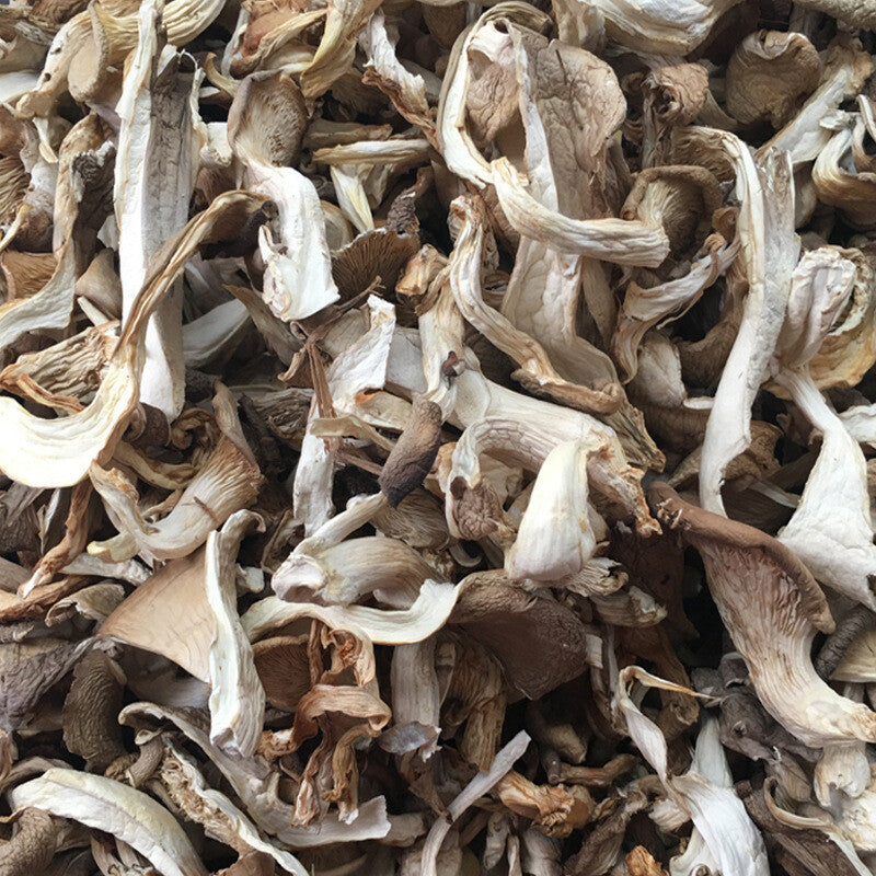 Fresh Oyster Mushroom Strips, Phoenix Tail Mushroom, Yunnan Farm Wholesale Main image
