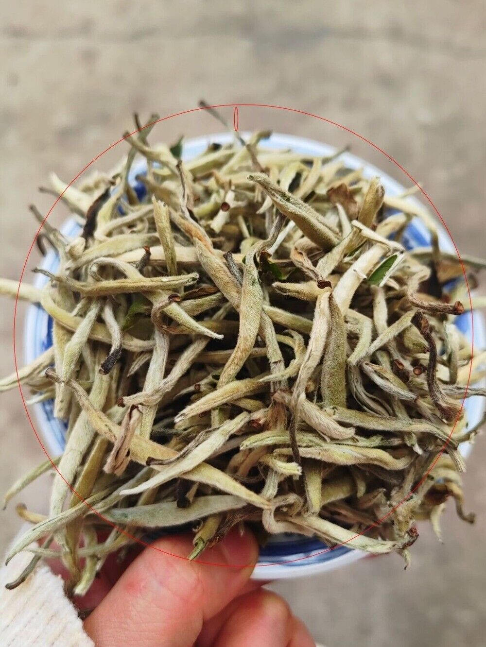 2024 Yunnan Baiya Ancient Tree Tea Spring Premium Floral Aroma Loose Leaf