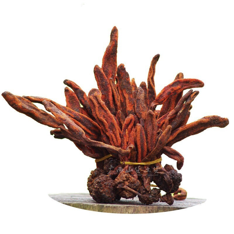 Rejuvenation Herb Tea Dingtianzhu Amaranth Cistanche and Ageless Grass Men's Tea