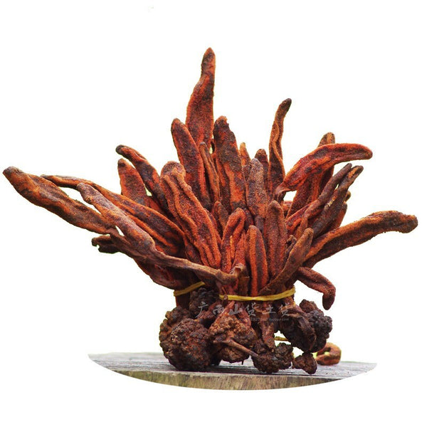 Rejuvenation Herb Tea Dingtianzhu Amaranth Cistanche and Ageless Grass Men's Tea