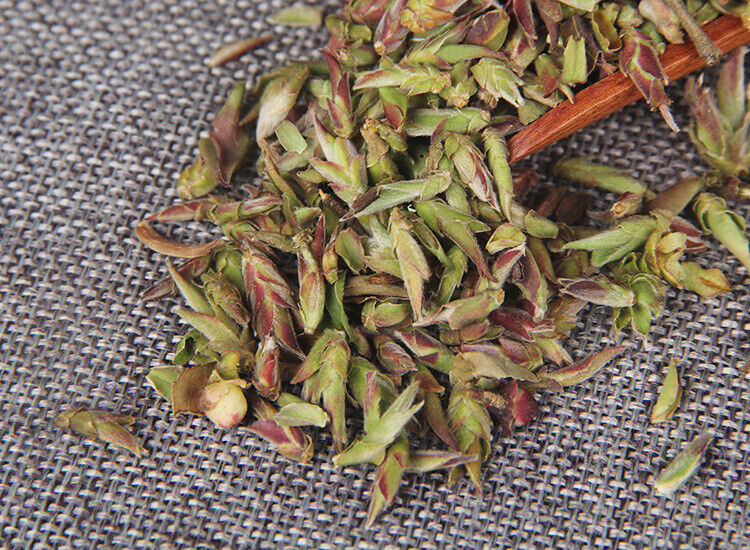 HelloYoung Wild Purple Buds Tea Yunnan Ancient Tree Purple Buds Puerh Raw Tea 500g