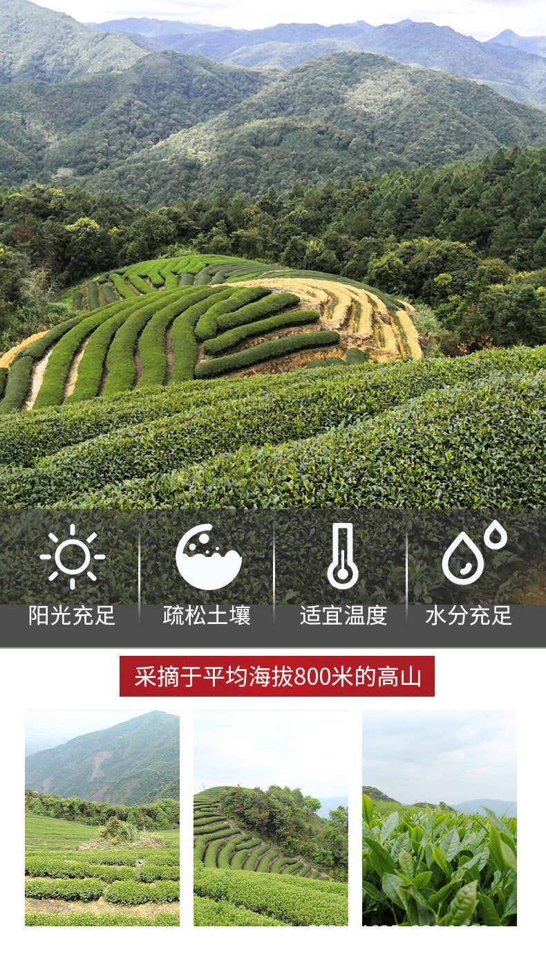 Fruit Aroma Rougui Medium Roast Charcoal Roasted Oolong Tea Wuyi Rock Tea