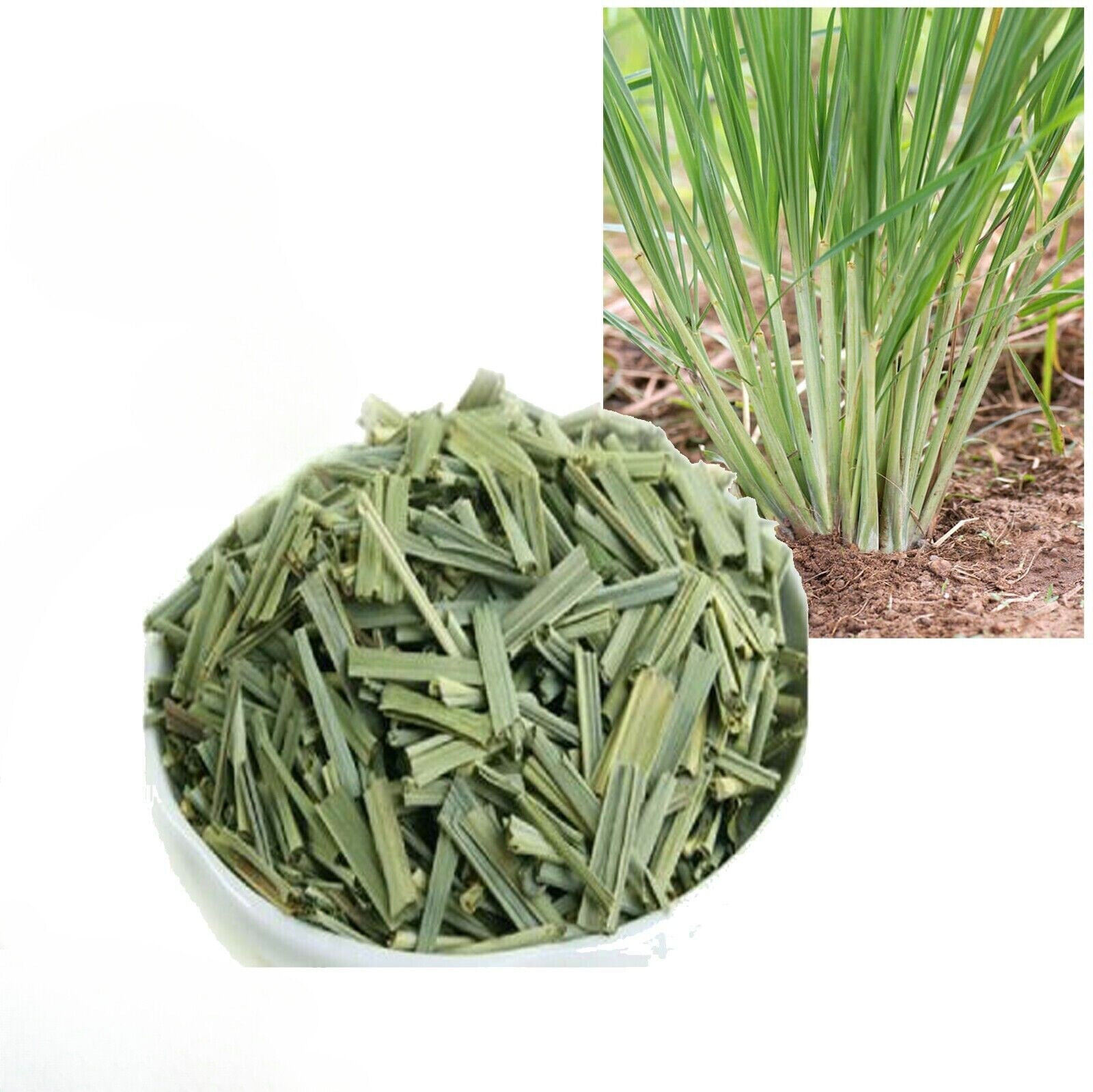 Dried organic Lemongrass leaf slices(2-3cm cut) For Enhance Flavor pure Natural