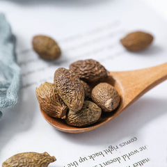 HelloYoung 120g Sterculia lychnophora Herbal Tea 胖大海 120g 罐装 花草茶