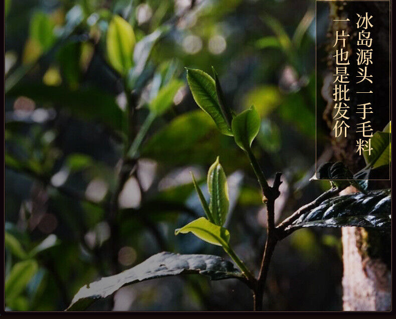 HelloYoung 357g Yunnan Tea Cake Icelandic Puerh Tea Ripe Tea Pure Material