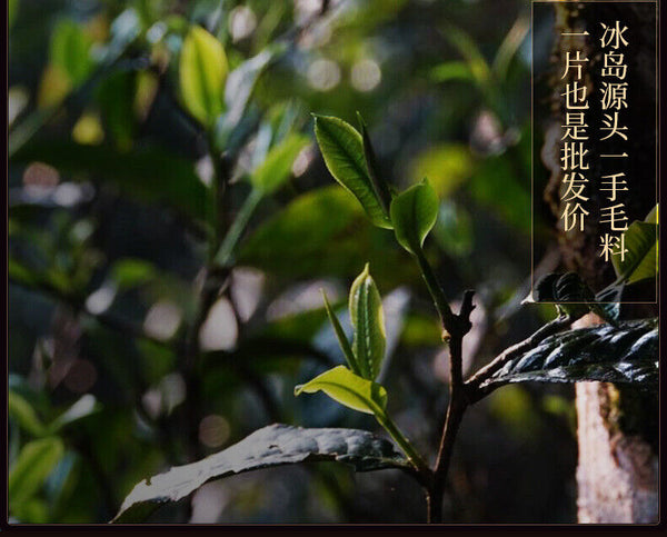 HelloYoung 357g Yunnan Tea Cake Icelandic Puerh Tea Ripe Tea Pure Material