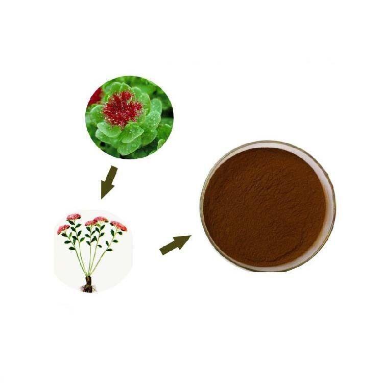200g Rhodiola Rosea Root Extract Powder 3% Rosavins – Boosts Energy & Vitality Main image