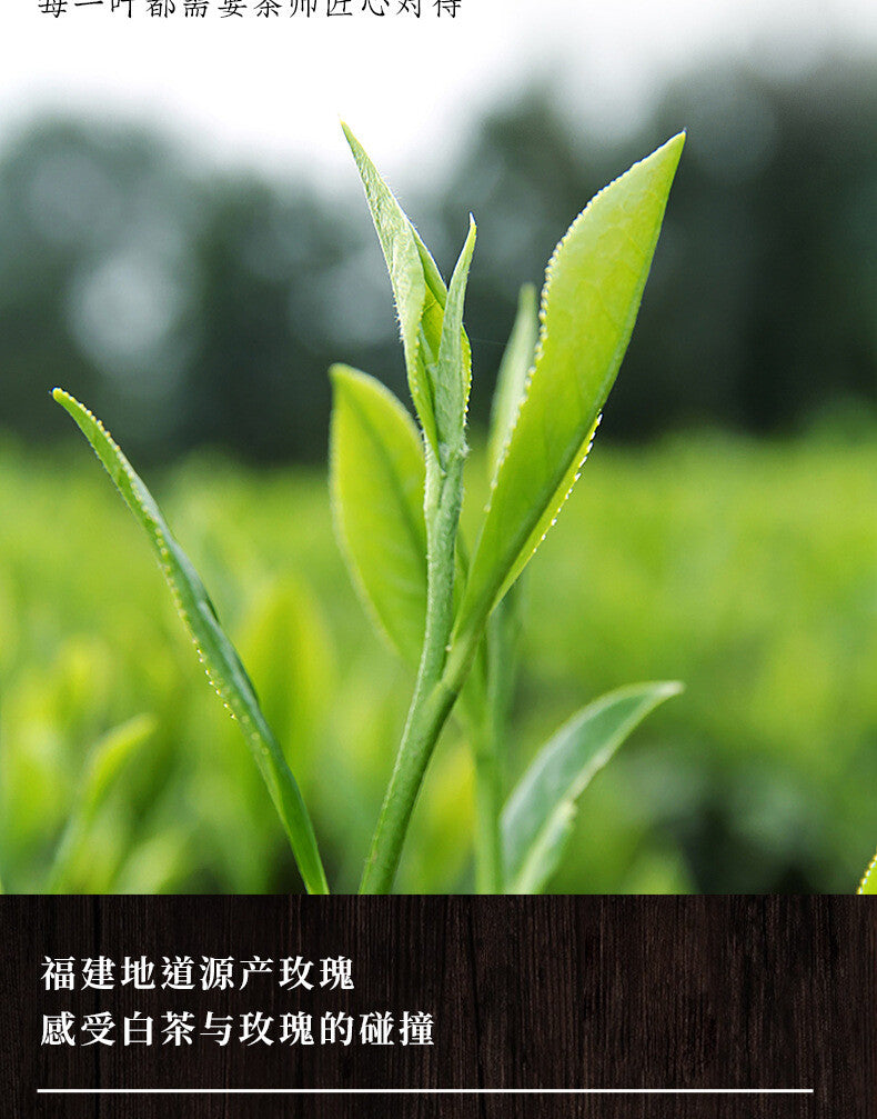 Authentic Fujian Rose White Tea Fuding Old White Tea Mini Tea Cake Rose Shoumei