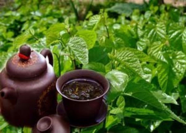 HelloYoung Dried Mulberry Leaf Tea Chinese Natural Mulberry Leaves Tea Herbal Detox Tea50g