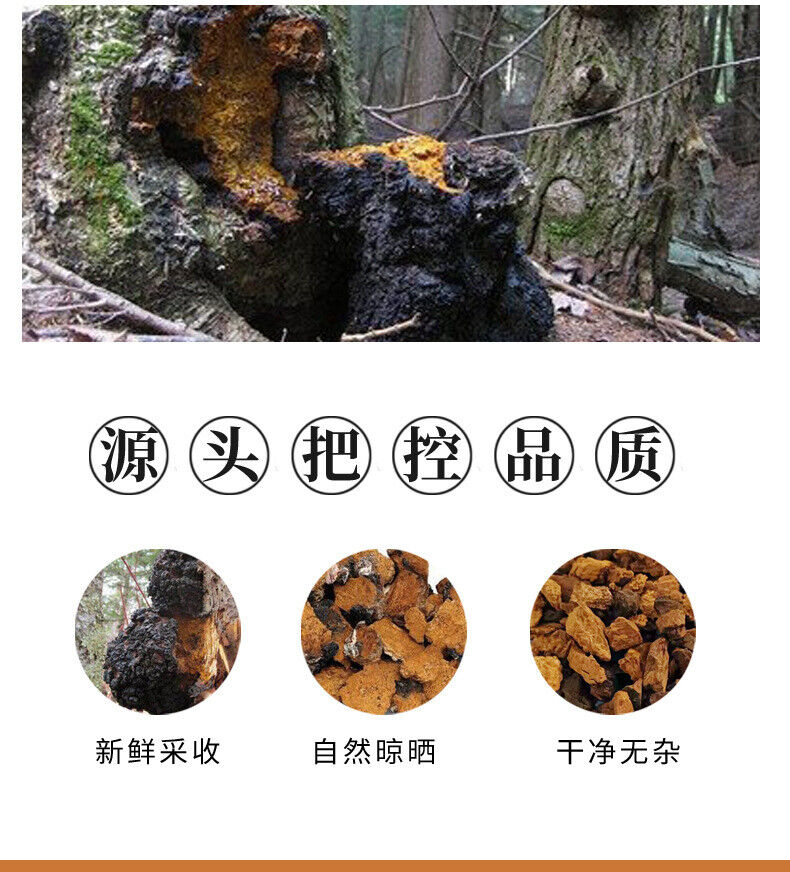 Premium Chaga Mushroom Tea: Natural, Unsulphured, Wellness Drink